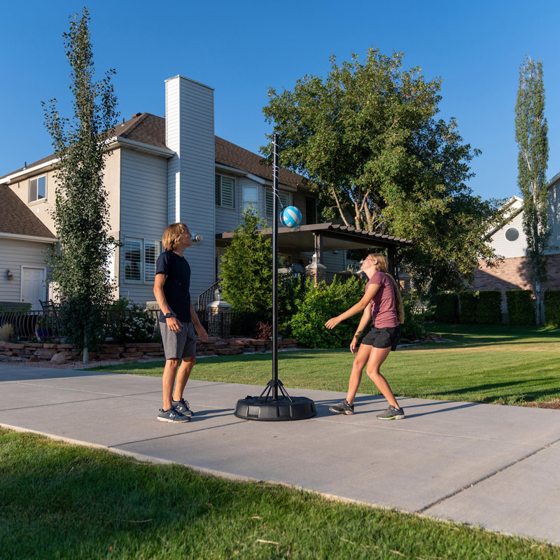 Lifetime Tetherball & Reviews Wayfair